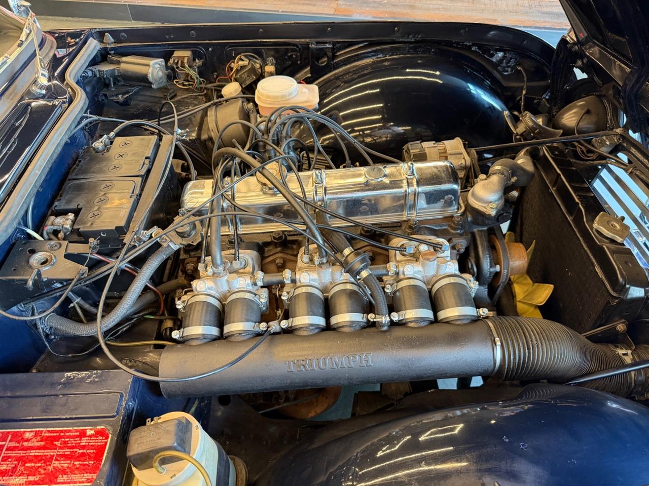 Triumph TR5 1CP -Europen Version– Original LHD
