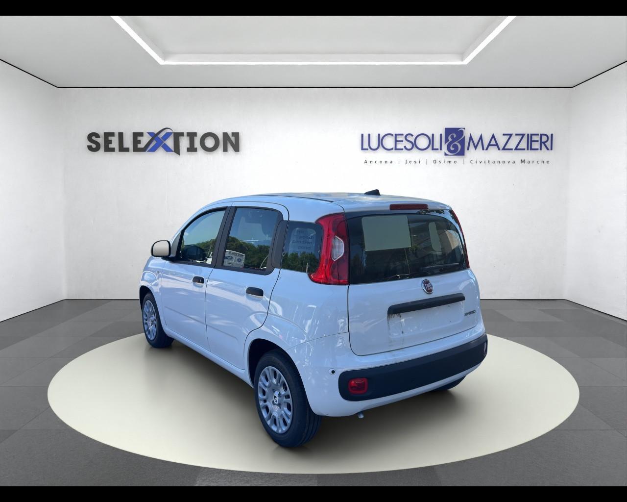 FIAT Pandina My26 1.0 65cv Hybrid Icon