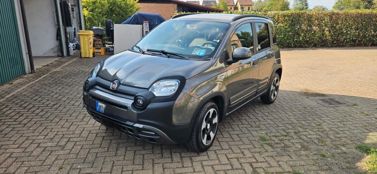 Fiat Panda 1.0 FireFly S&S Hybrid Launch Edition
