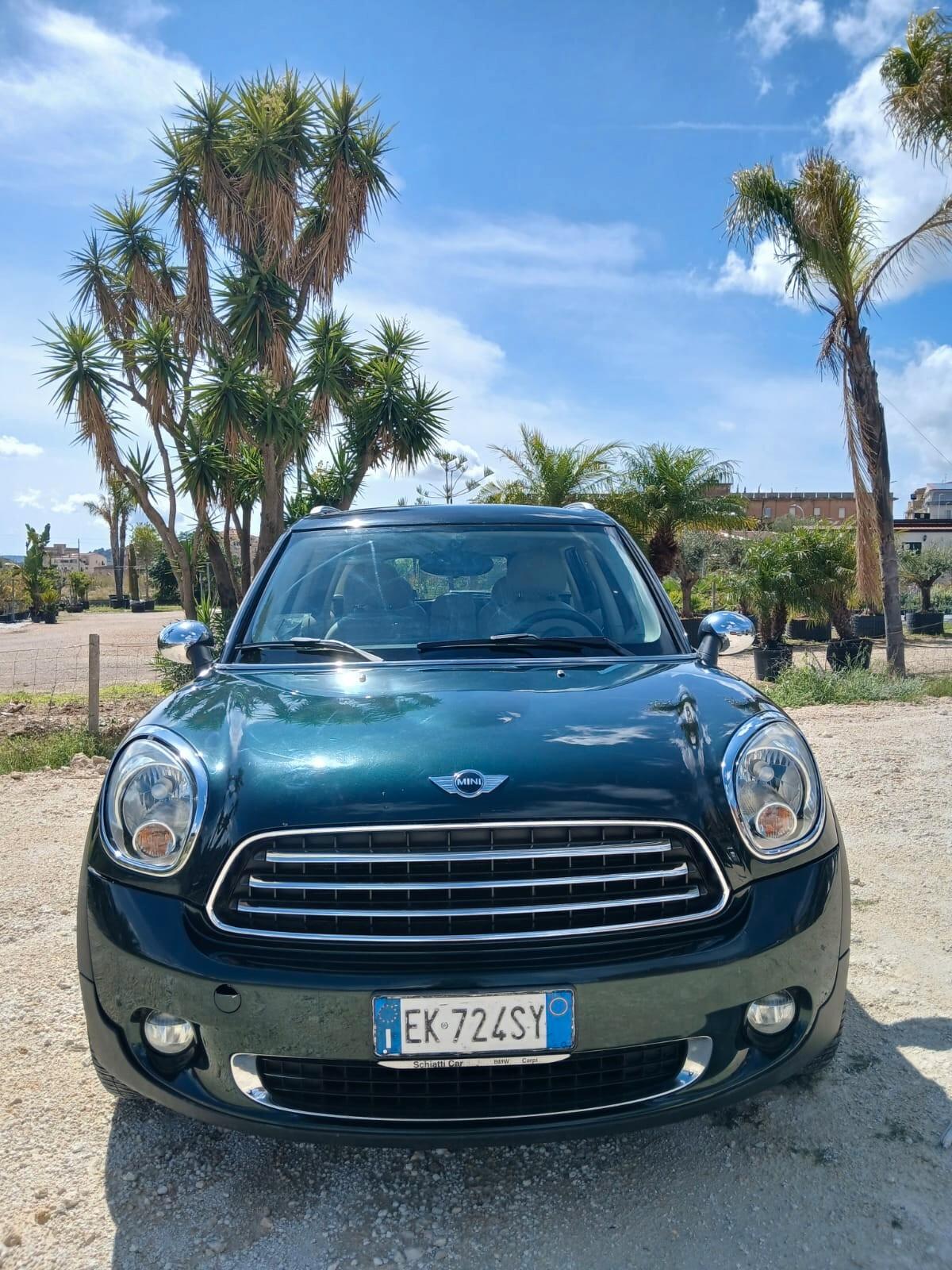 Mini Countryman