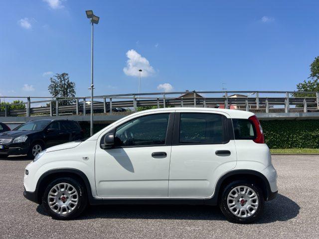 FIAT Panda 1.0 FireFly S&S Hybrid 70CV UNICO PROPRIETARIO