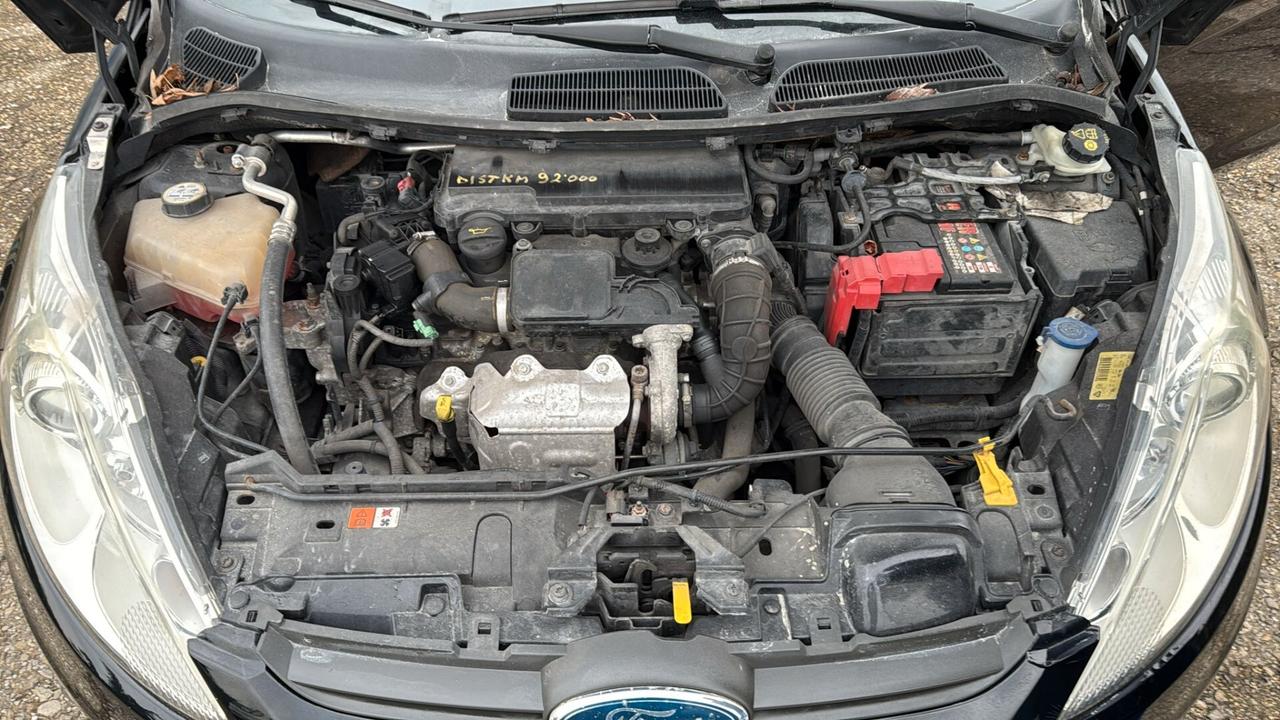 Ford Fiesta 1.4 TDCi 70CV 3 porte Titanium