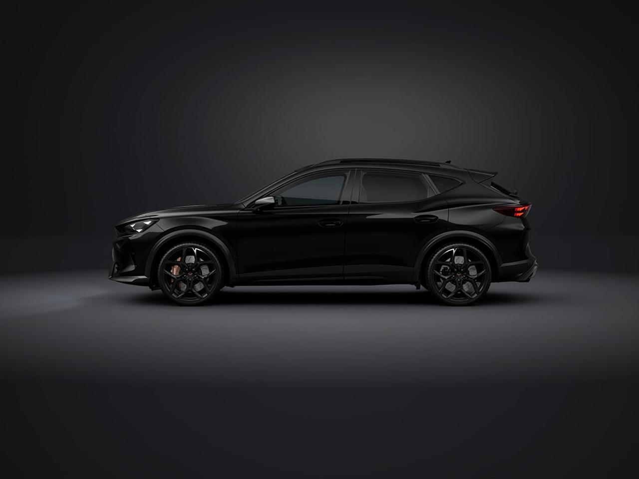 Cupra Formentor 2.5 vz5 4drive dsg