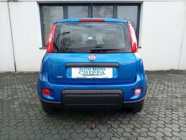 FIAT Panda 1.0 MILD HYBRID MANUALE PANDINA OK NEOPATENTATO