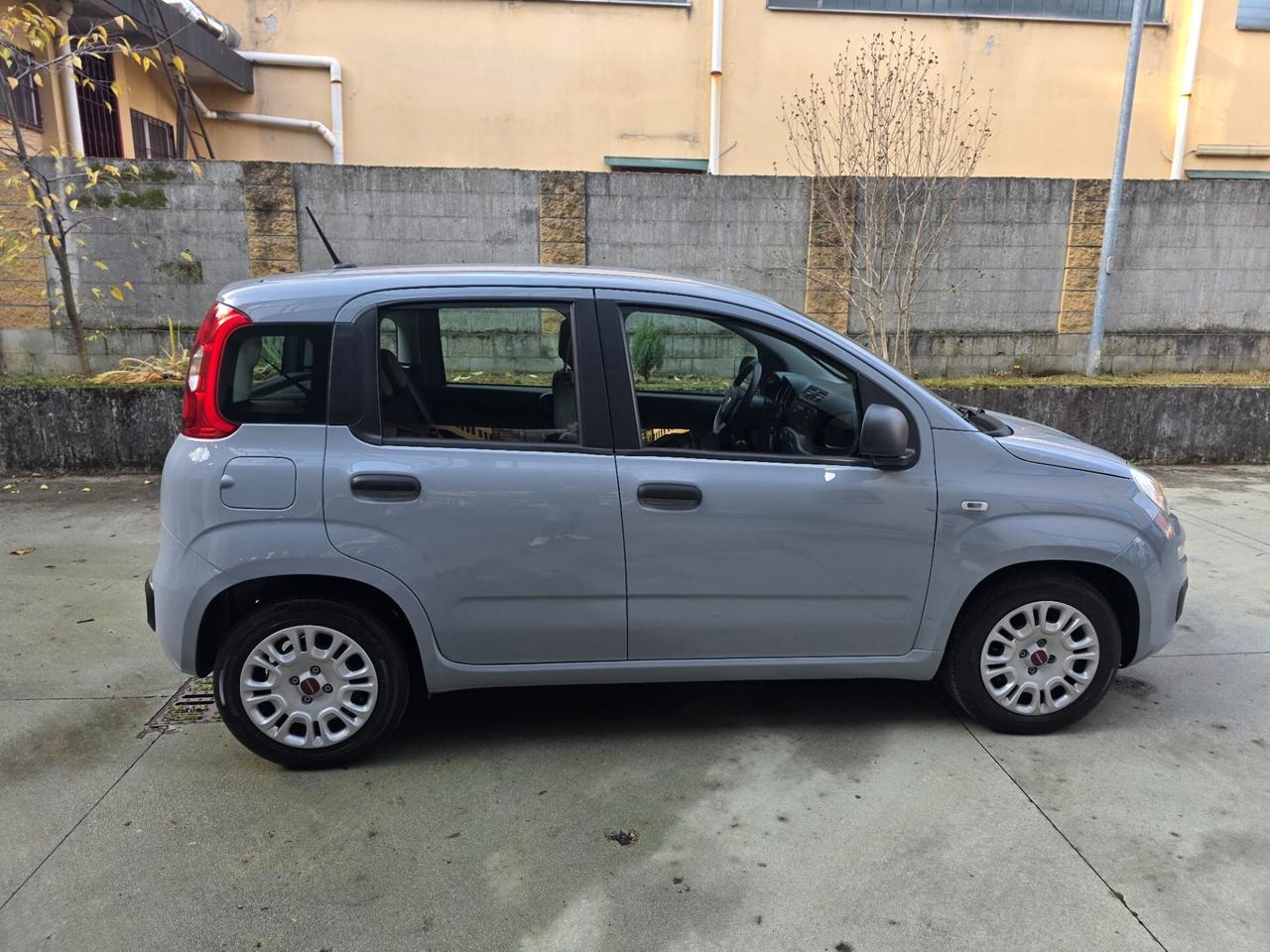 Fiat Panda 1.0 FireFly S&S Hybrid *PREZZO REALE