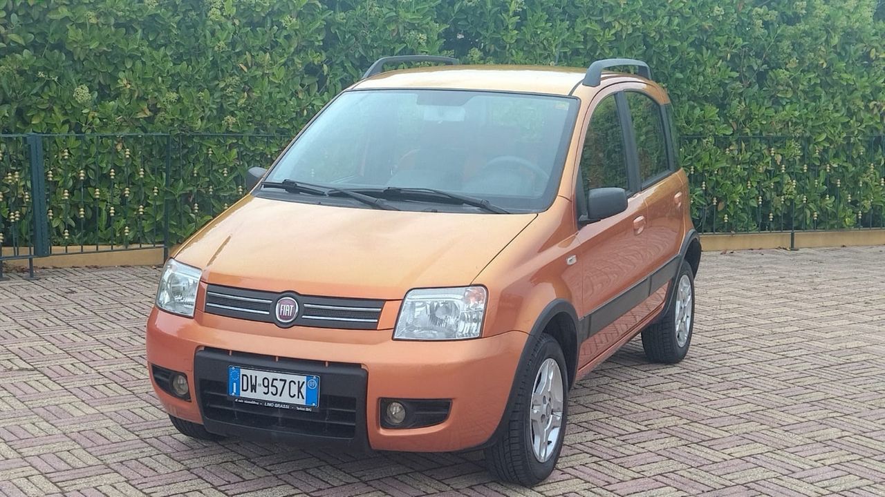 Fiat Panda 1.2 Climbing Natural Power