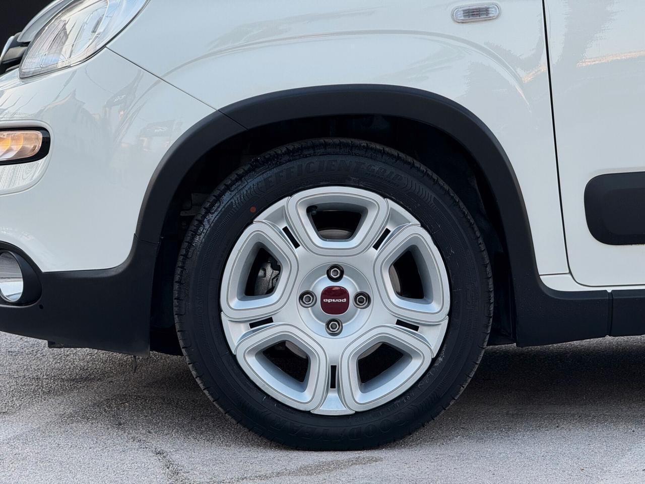 Fiat Panda 1.0 Firefly Hybrid S 69CV S&S | IVA ESP