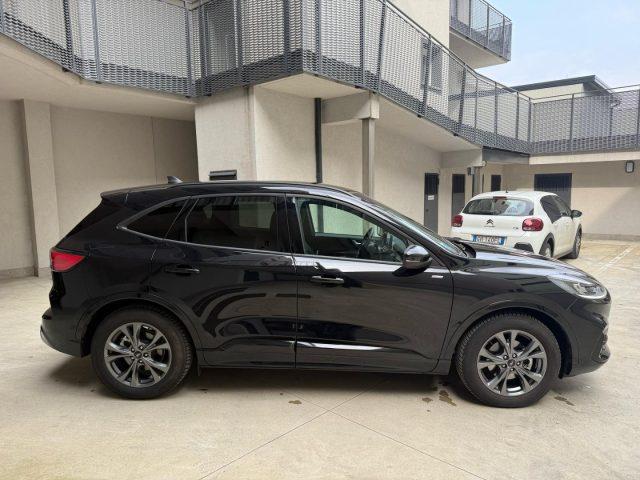 FORD Kuga 2.0 EcoBlue 120 CV aut. 2WD ST-Line