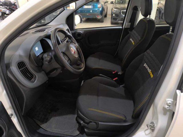 FIAT Panda 3ª serie - 1.0 FireFly S&S Hybrid
