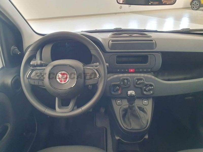 FIAT Panda Panda 1.0 70cv Hybrid Panda