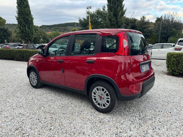 FIAT Panda 1.0 FireFly Hybrid 70cv S&S MT6 - KmZero