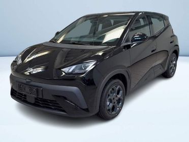 BYD Dolphin Surf Boost