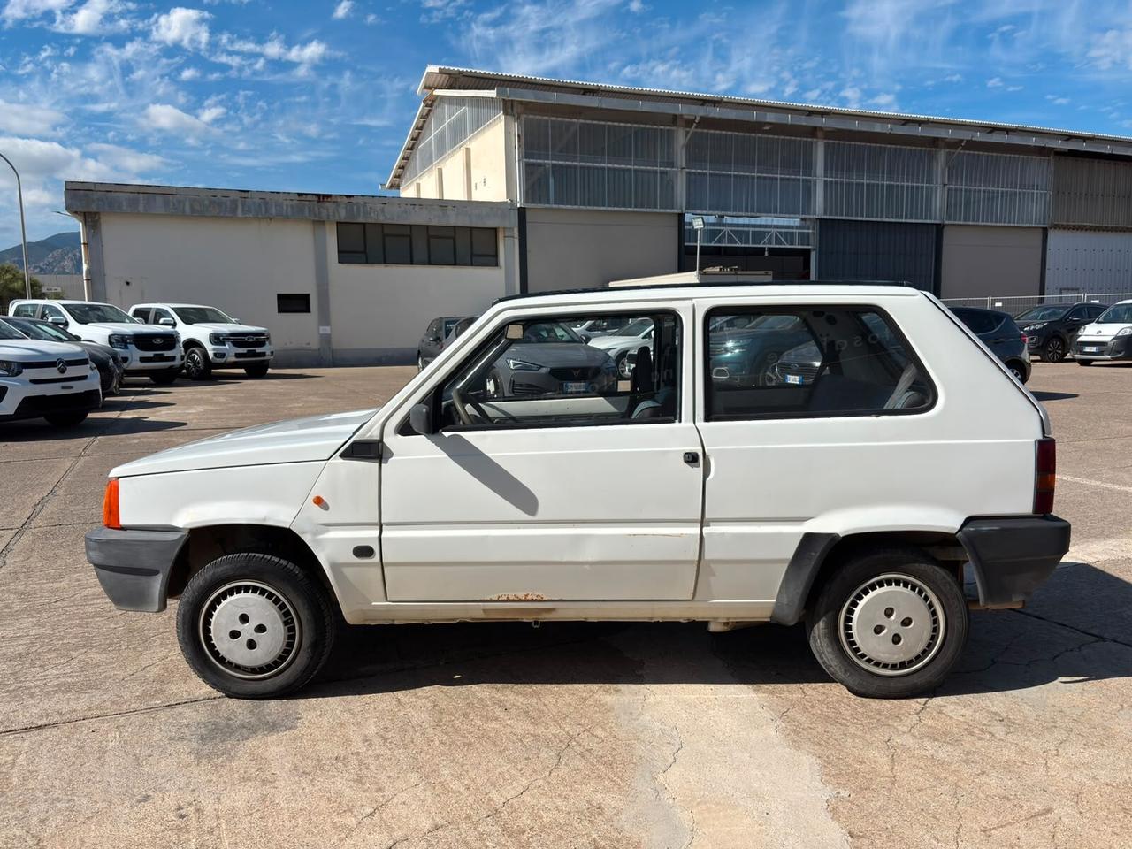Fiat Panda 900 i.e. cat Young