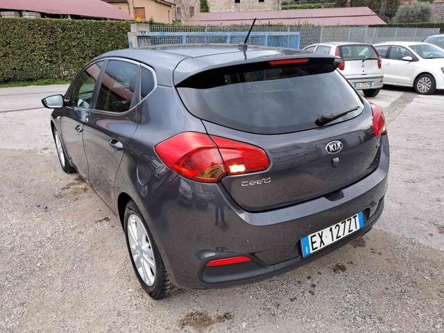 KIA cee'd 1.6 CRDi 110 CV 5 porte Cool