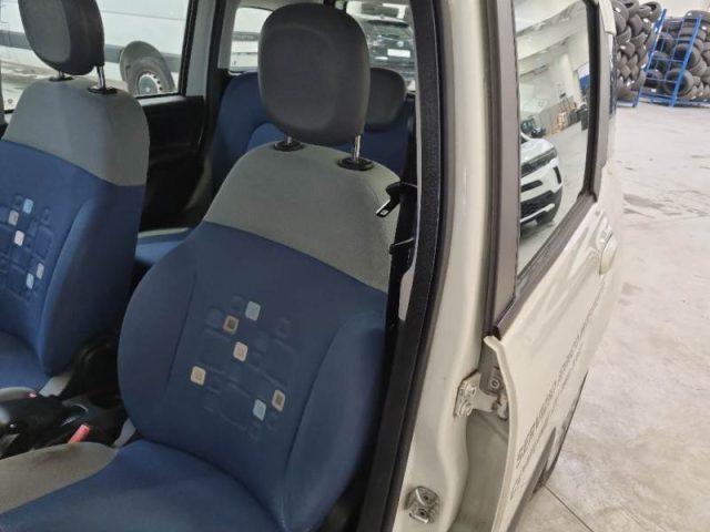 FIAT Panda 1.2 Lounge E6 adatta a neopatentati