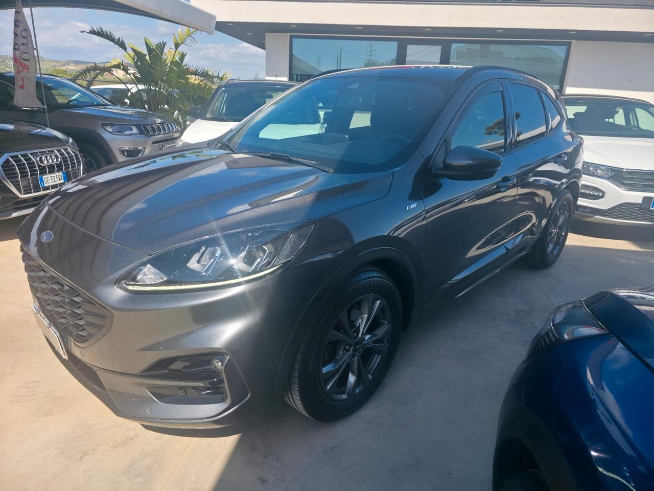 Ford Kuga 1.5 EcoBlue 120 CV 2WD ST-Line