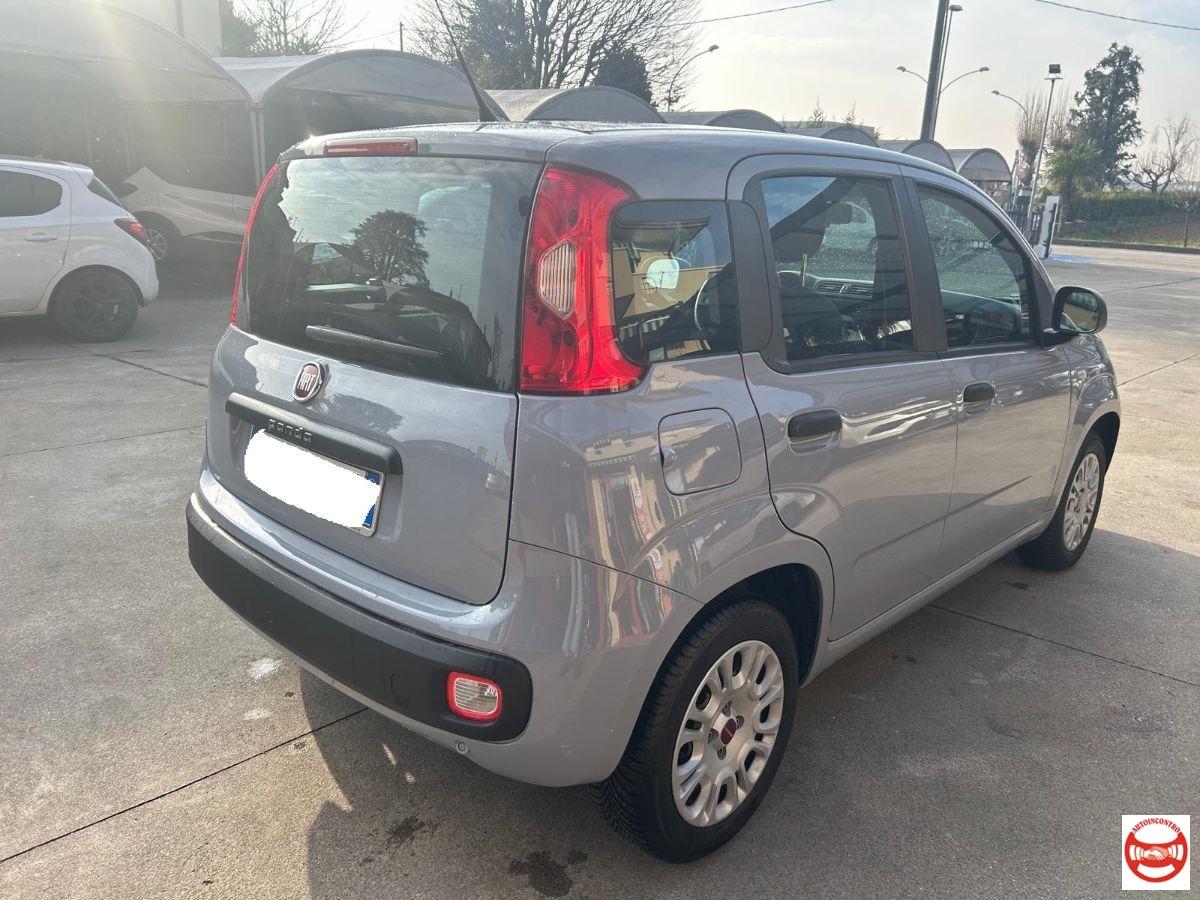 FIAT - Panda 1.2 Easy easypower Gpl 69cv my19