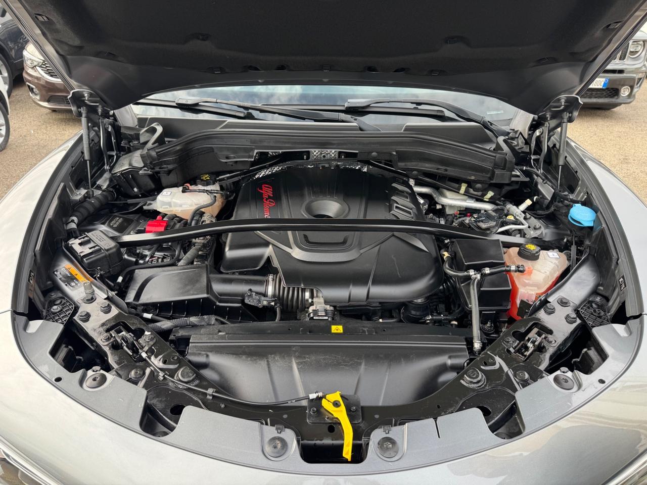 Alfa Romeo Stelvio 2.2 Turbodiesel 210 CV Q4 NAVI PELLE