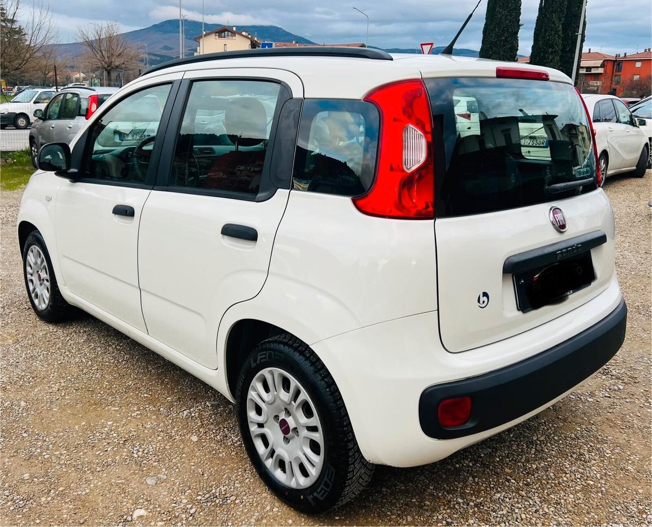 Fiat Panda 1.2 Lounge