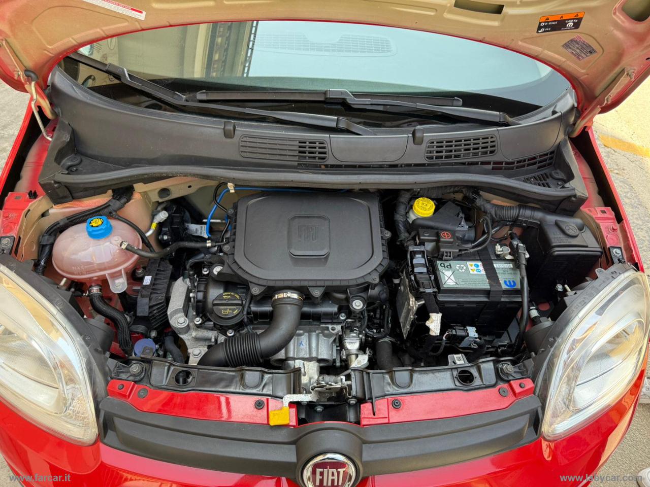 FIAT Panda 1.0 FireFly S&S Hybrid CON FINANZIAMENTO, INCENDIO E FURTO PER 36 MESI