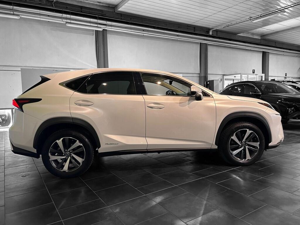 Lexus NX 300 300 2.5 Hybrid Luxury 4WD CVT
