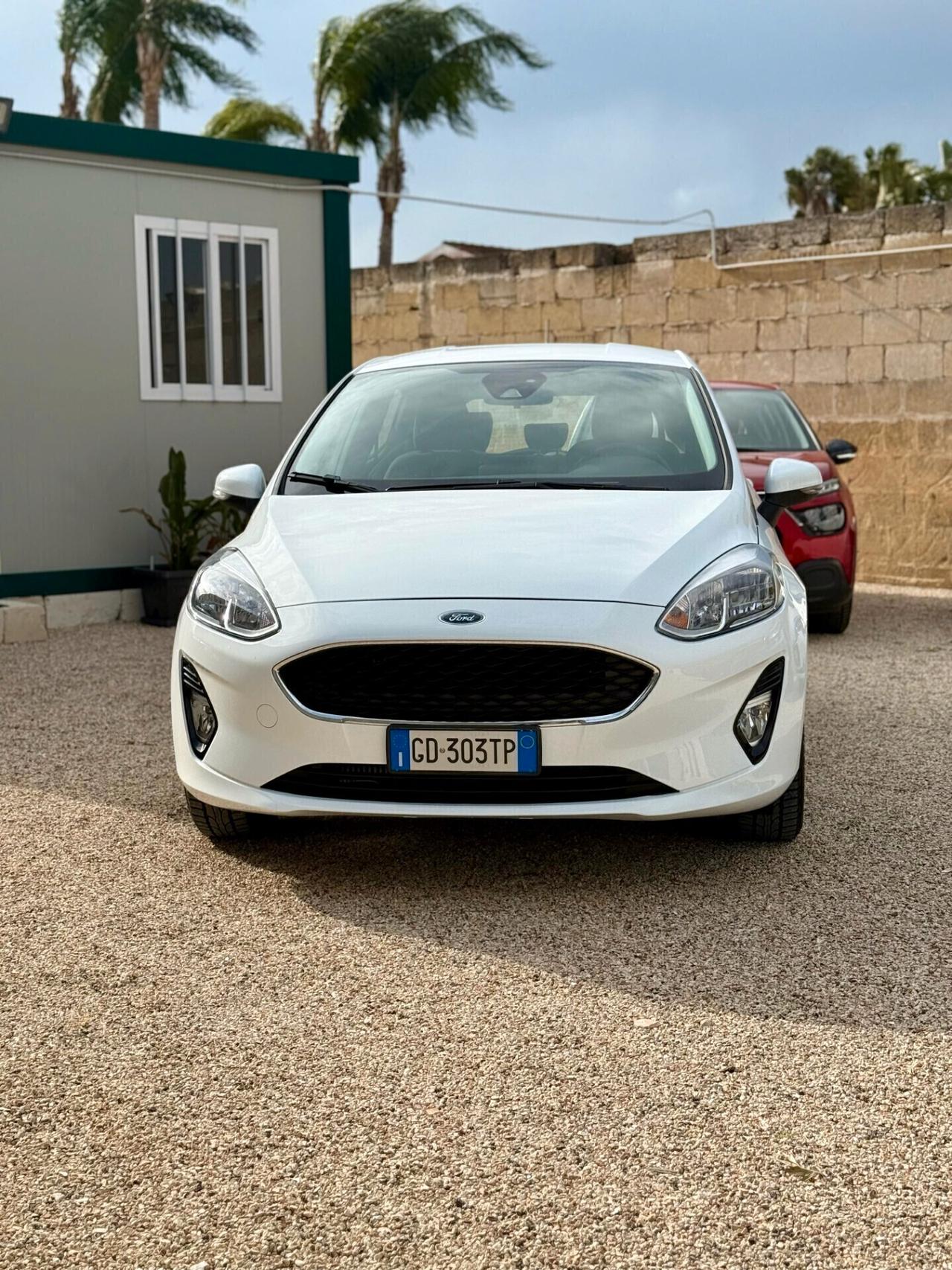 Ford Fiesta 1.5 EcoBlue 5 porte Titanium