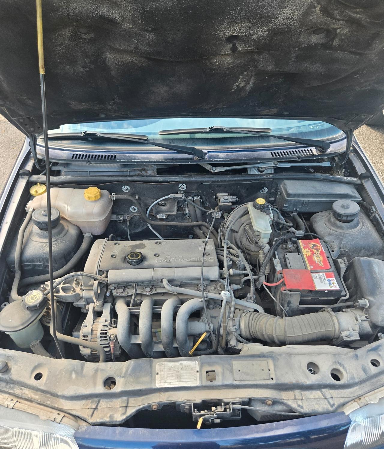 Ford Fiesta 1.2i 16V cat 5 porte Techno