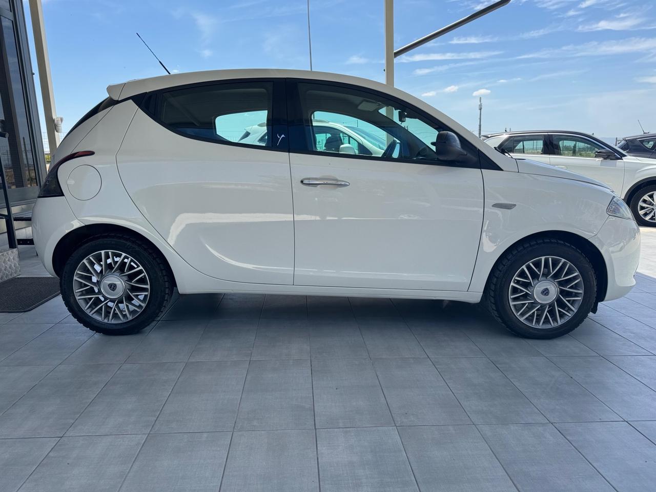 Lancia Ypsilon 1.3 MJT 16V 95 CV 5 porte S&S Platinum