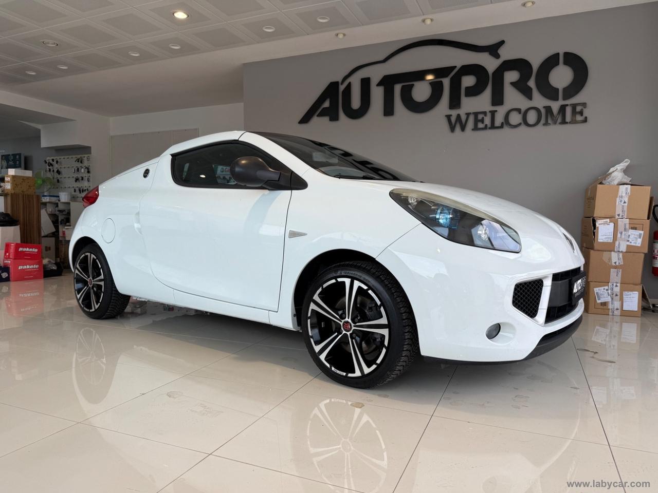 RENAULT Wind 1.2 TCE 100 CV Blizzard