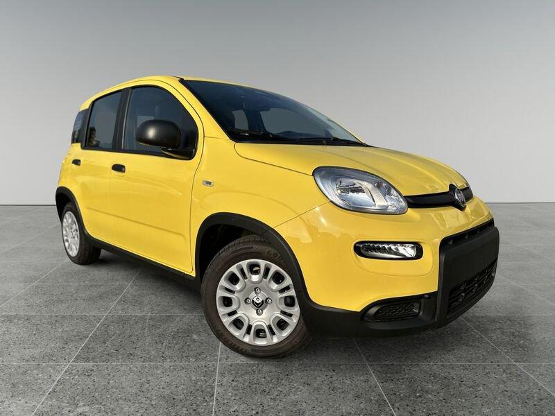 FIAT Panda 1.0 FireFly S&S Hybrid Pandina