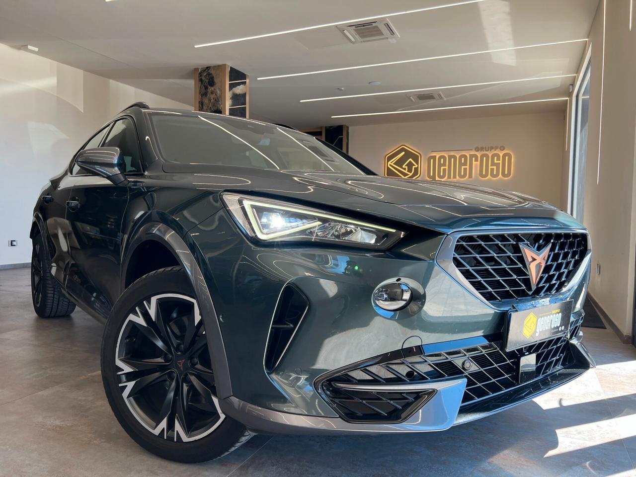 Cupra Formentor 2.0 TDI 4Drive DSG