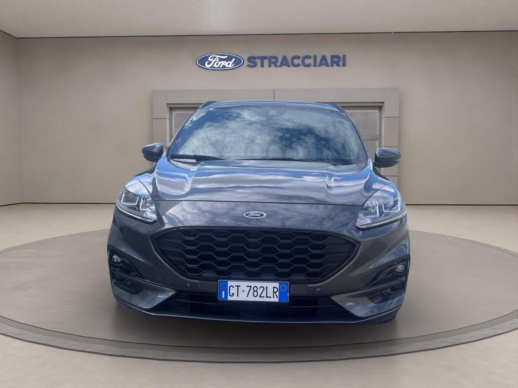FORD Kuga 2.0 ecoblue ST-Line 2wd 120cv auto del 2024