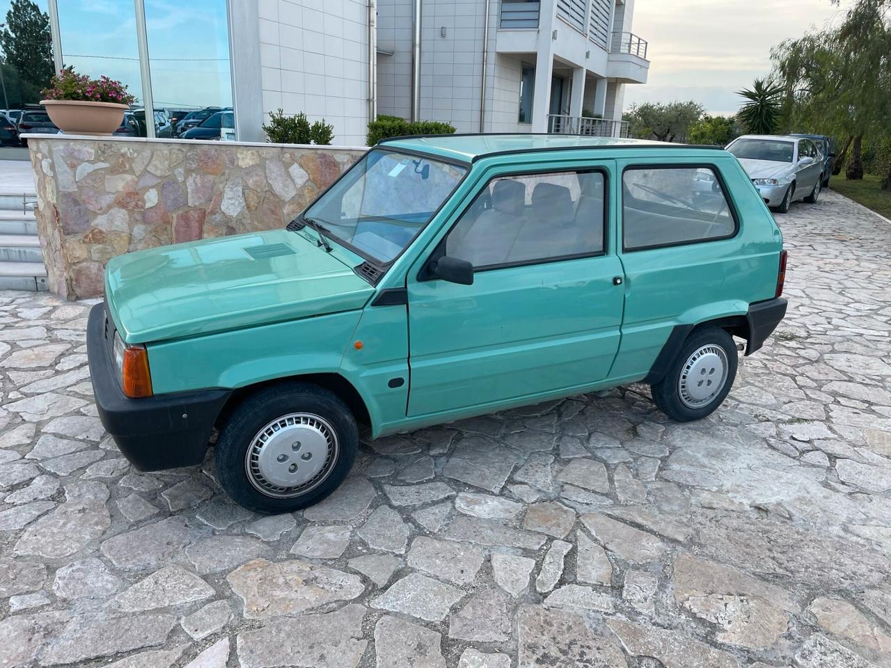 Fiat Panda 1100 i.e. cat Young