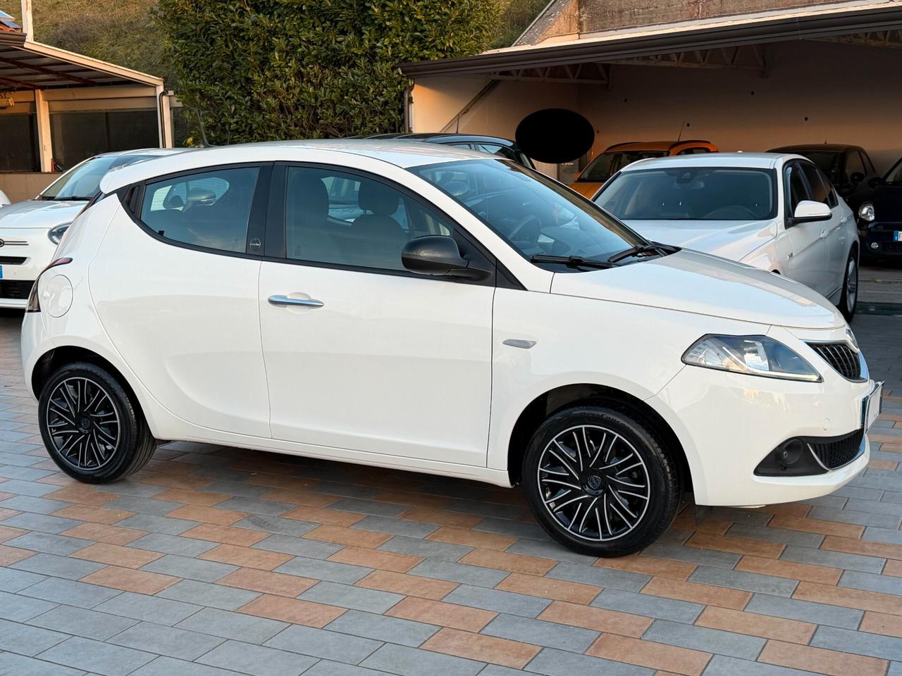 Lancia Ypsilon 1.2 69 cv. EcoChic GOLD (Imp GPL)