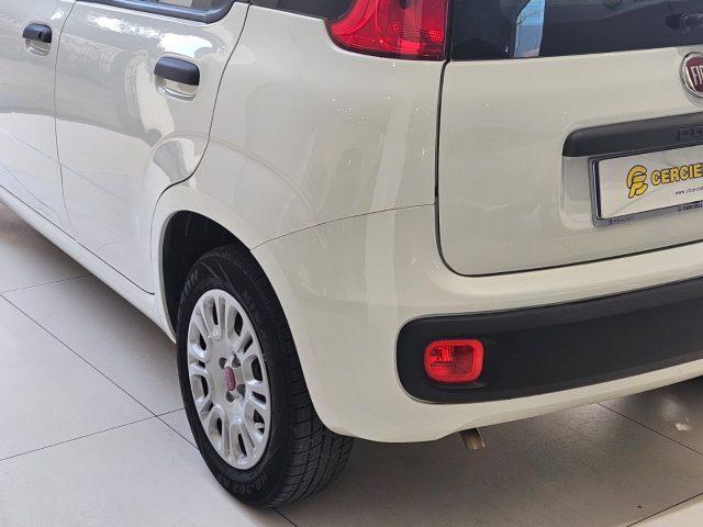 FIAT Panda 1.0 FireFly S&S Hybrid da ?119,00 mensili