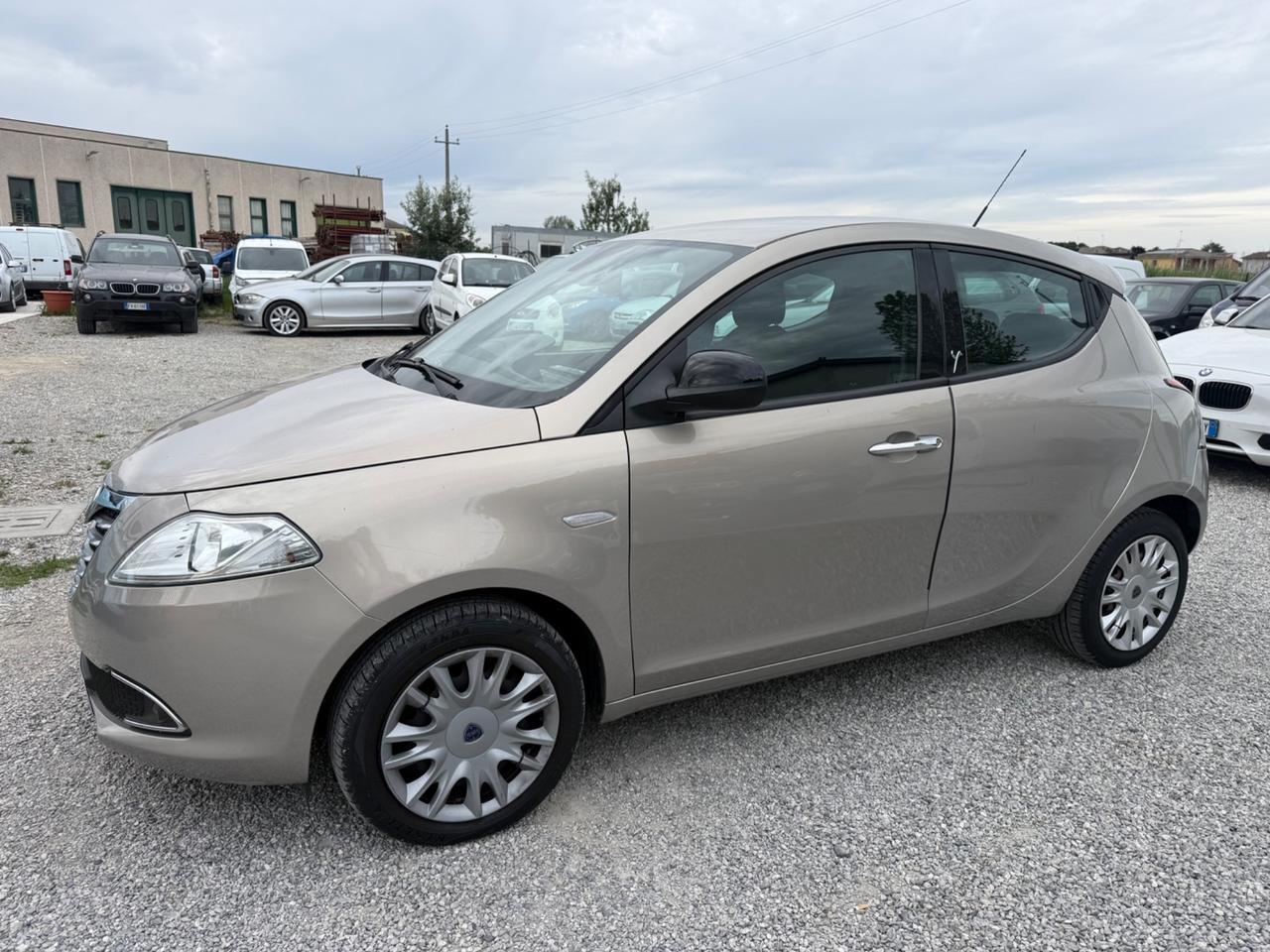 Lancia Ypsilon 1.2 69 CV 5 porte S&S Platinum