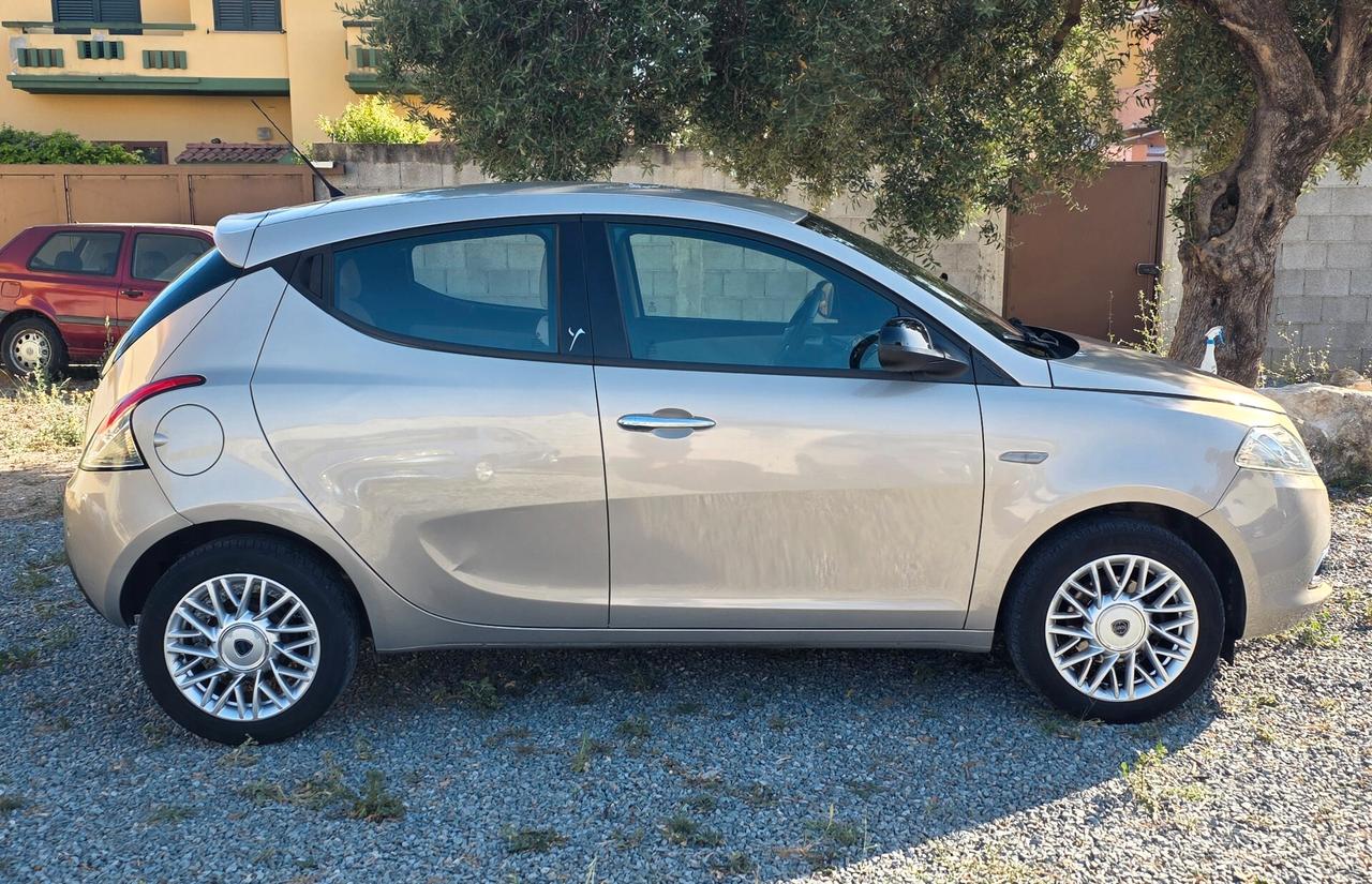 Lancia Ypsilon 1.2 69 CV 5 porte Gold