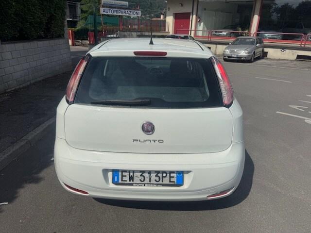 FIAT Punto 4ª serie Punto 1.2 8V 5 porte Young