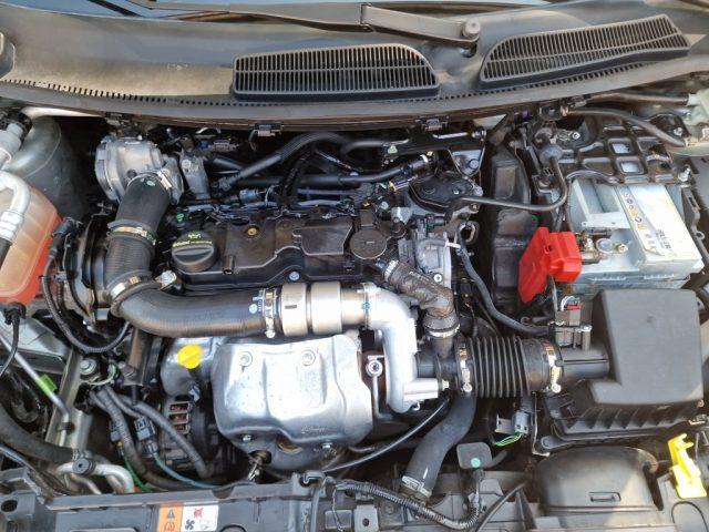 FORD Fiesta 1.5 TDCi 75CV 5 porte Business