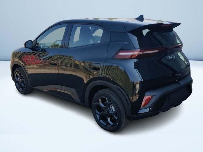 BYD Dolphin Surf Boost