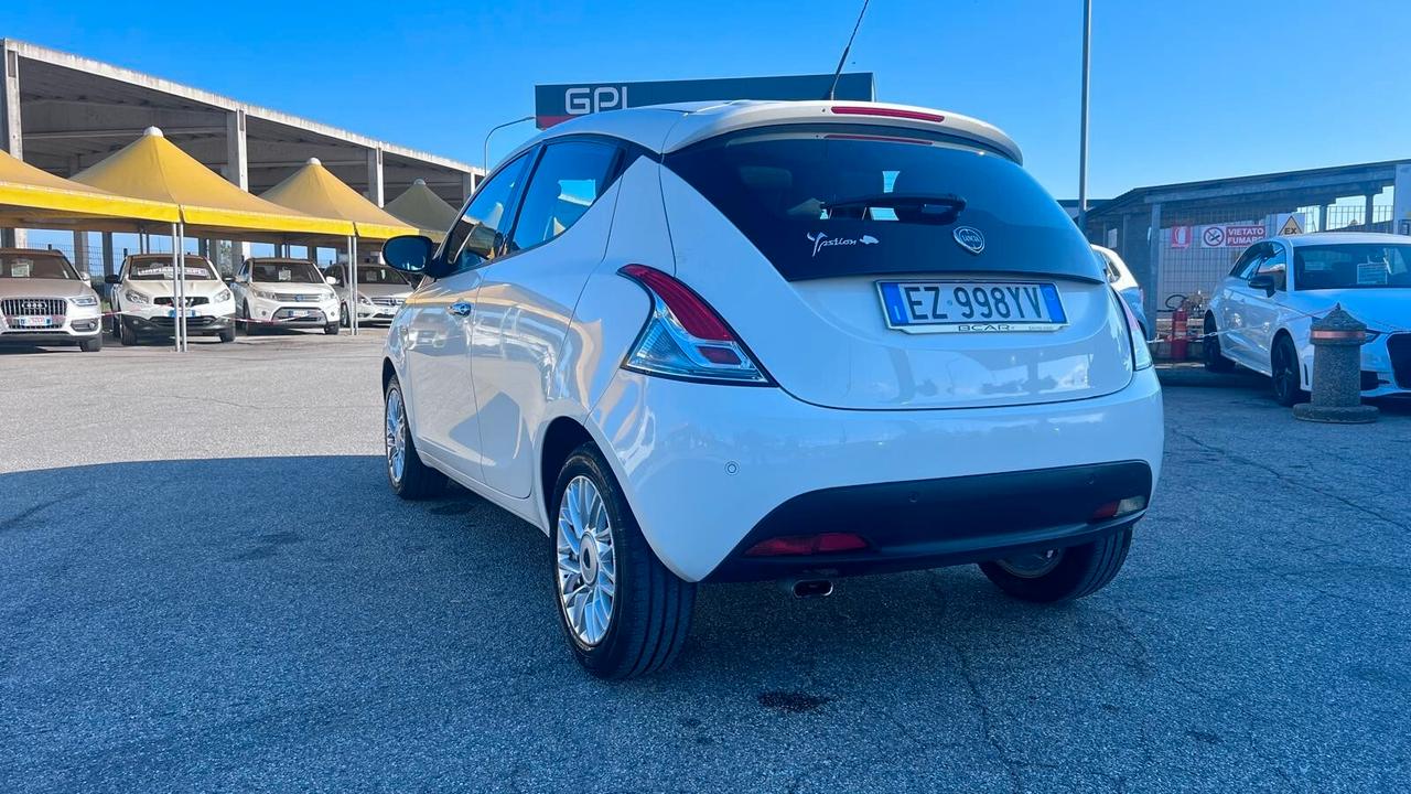 Lancia Ypsilon 1.2 69 CV 5 porte GPL Ecochic Elefantino