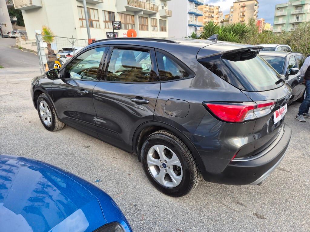 Ford Kuga 1.5 EcoBlue 120CV 2022