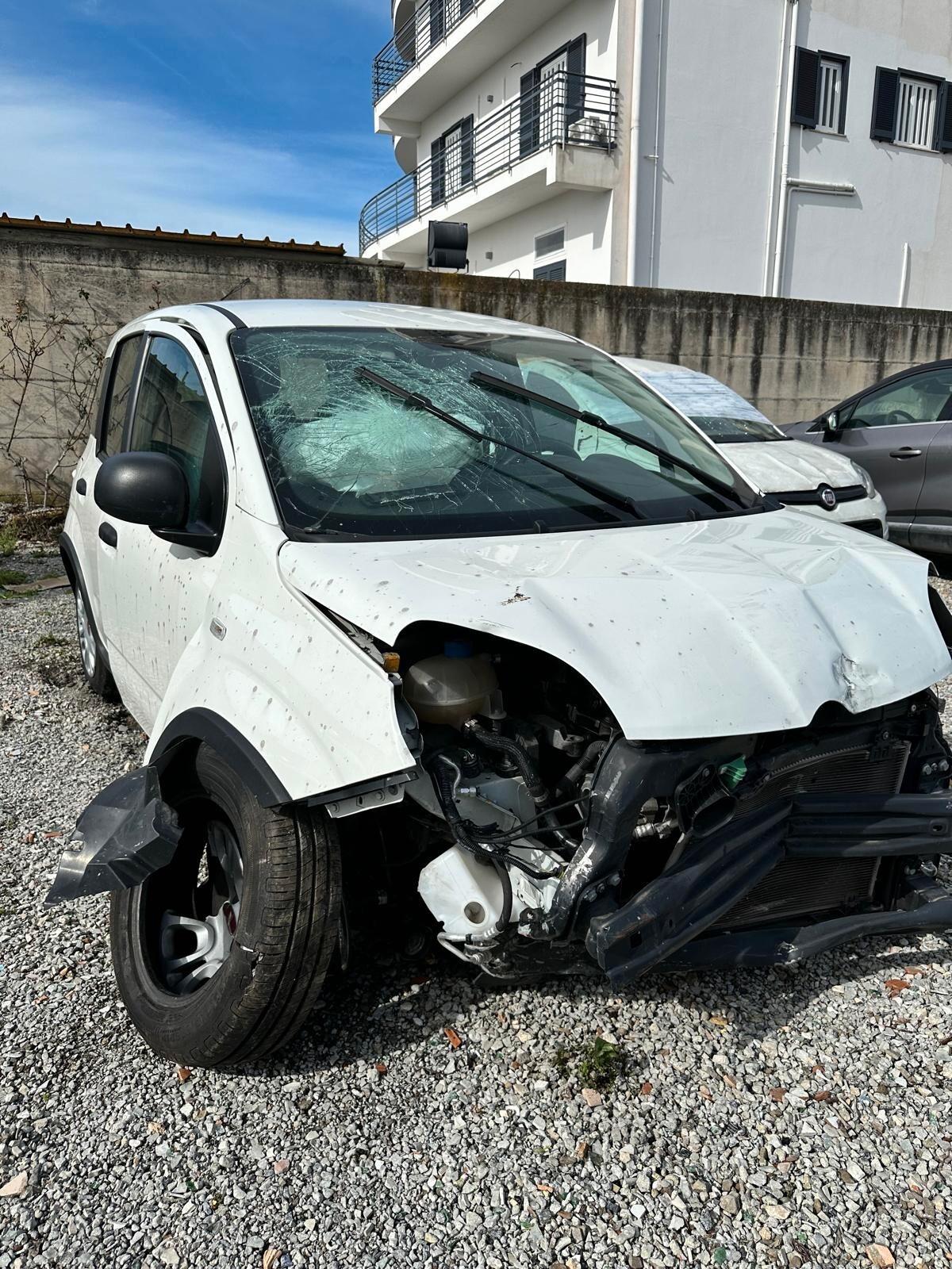 Fiat Panda 1.0 Hybrid 05/2023 sinitrata