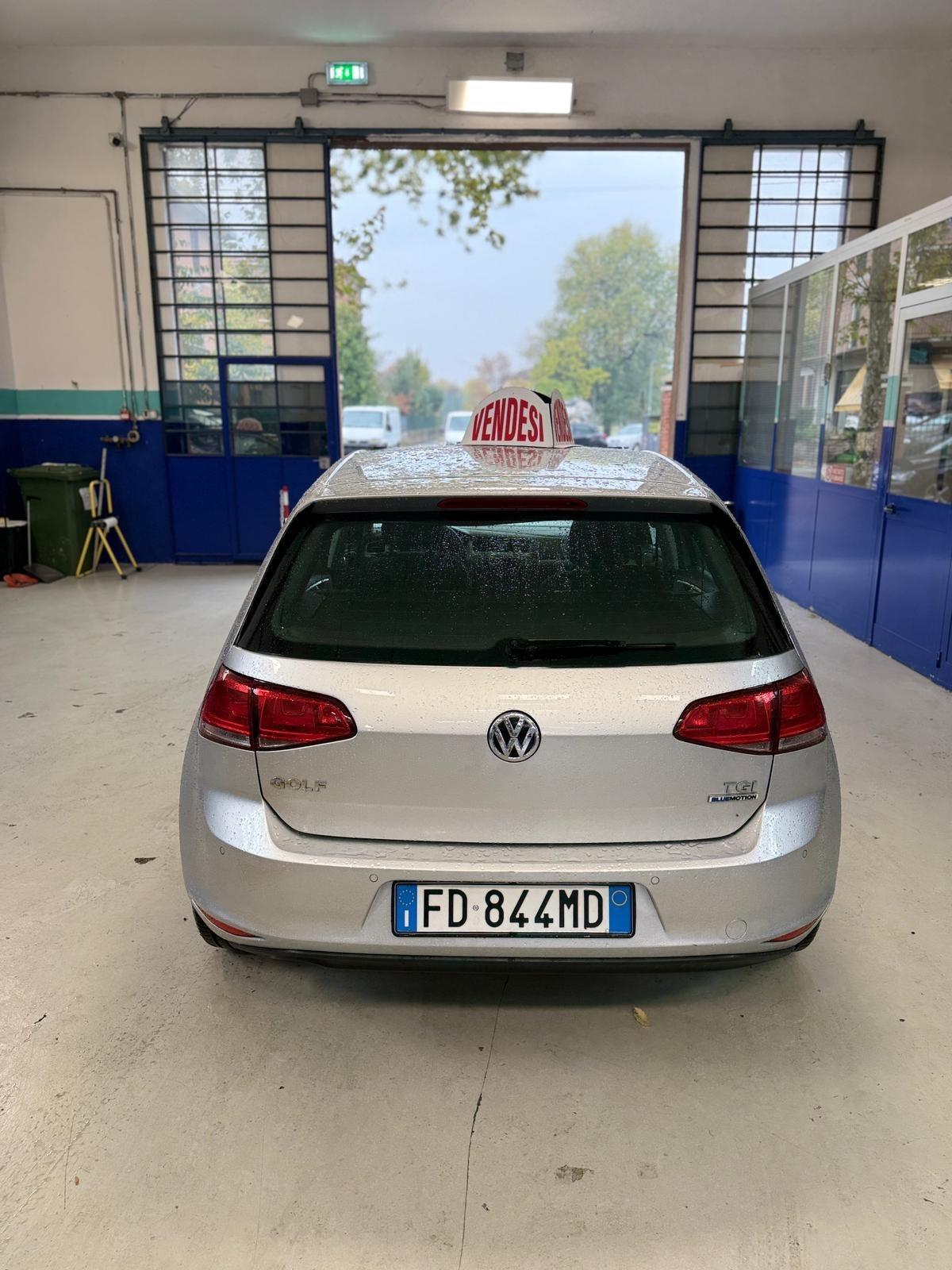 Volkswagen Golf 1.4 TGI 5p. Trendline BlueMotion
