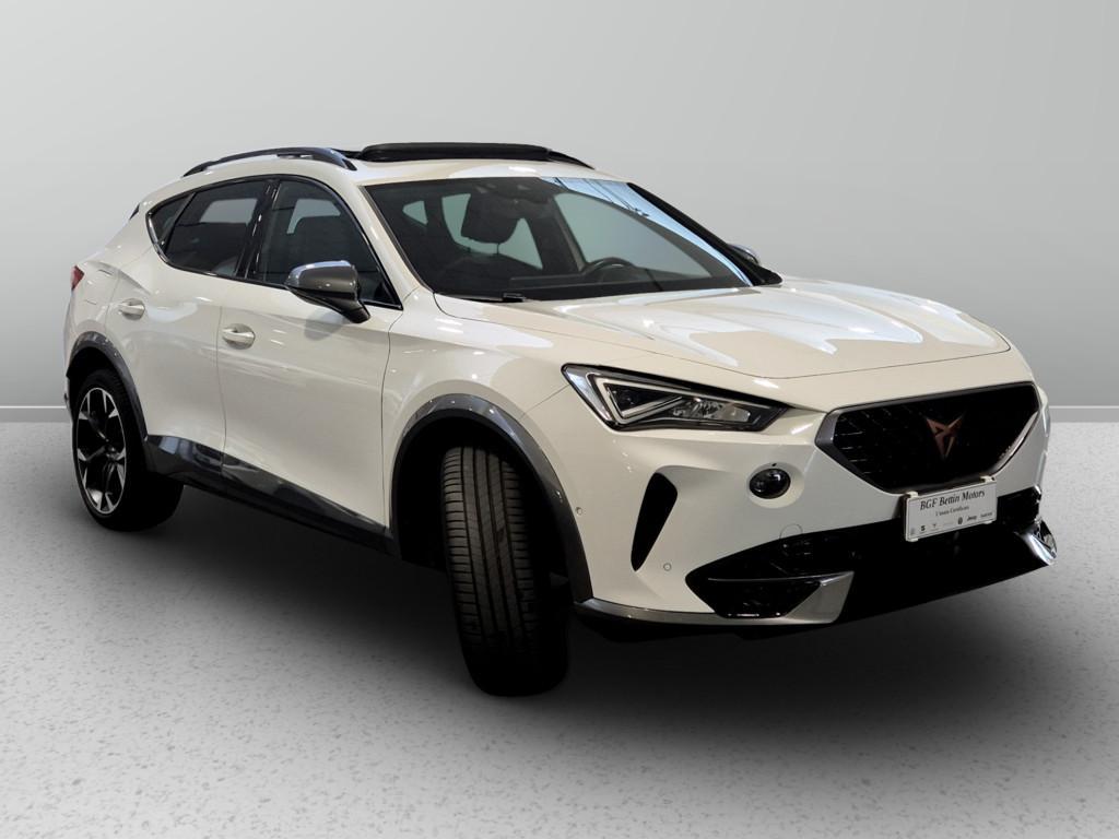 Cupra Formentor 2.0 tdi