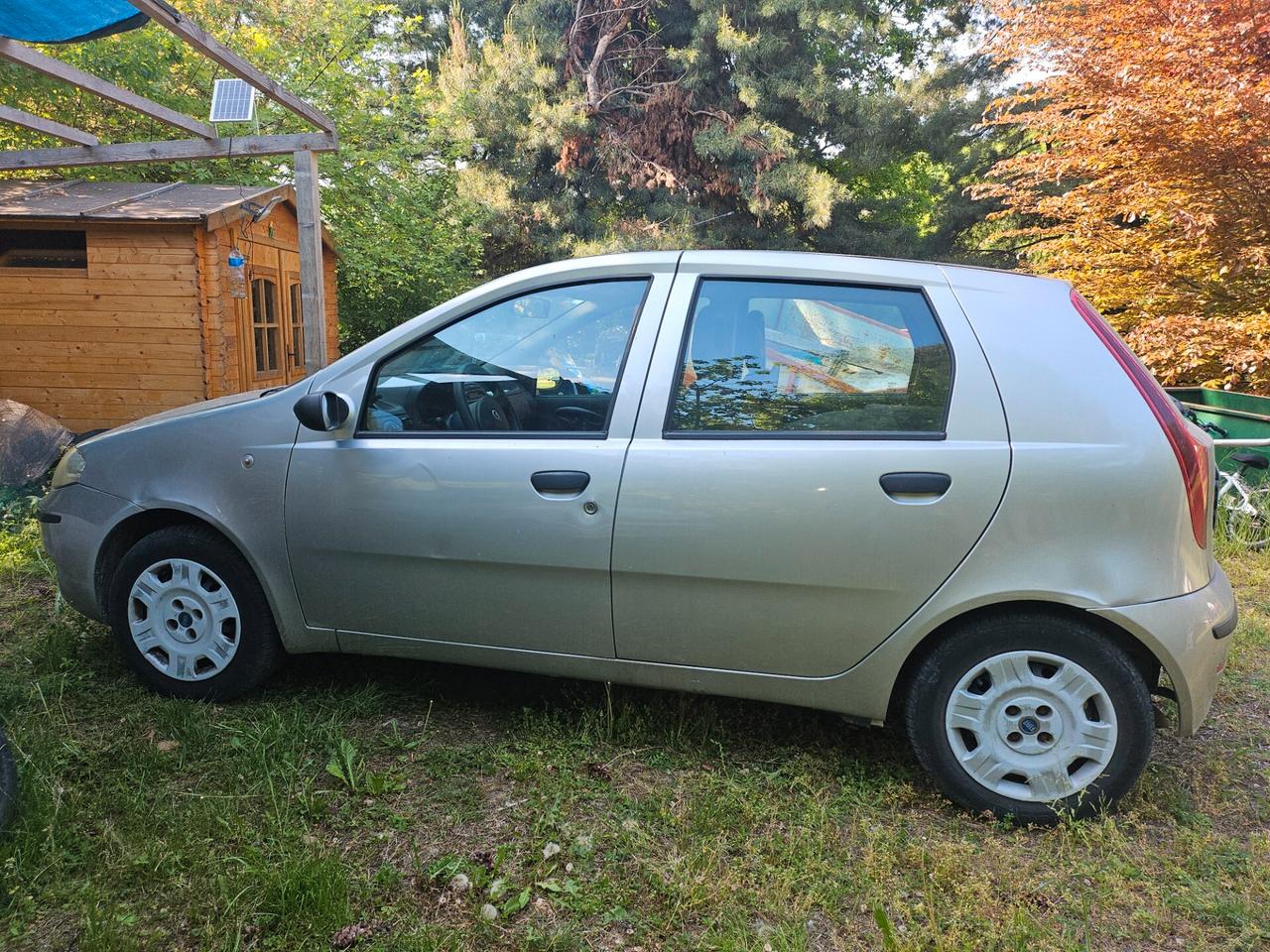 Fiat Punto 1.2 5 porte Active Natural Power