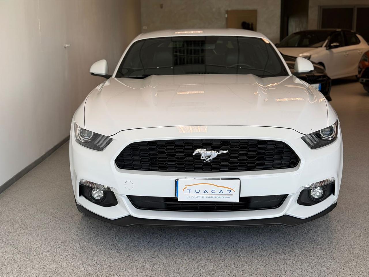 Ford Mustang Premium 2.3 EcoBoost #11589