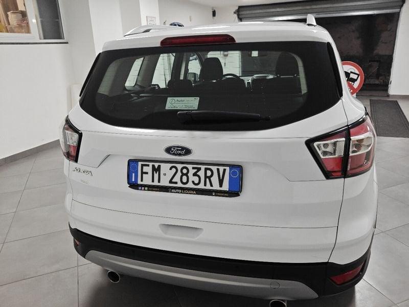 Ford Kuga Kuga 1.5 TDCI 120 CV S&S 2WD Business