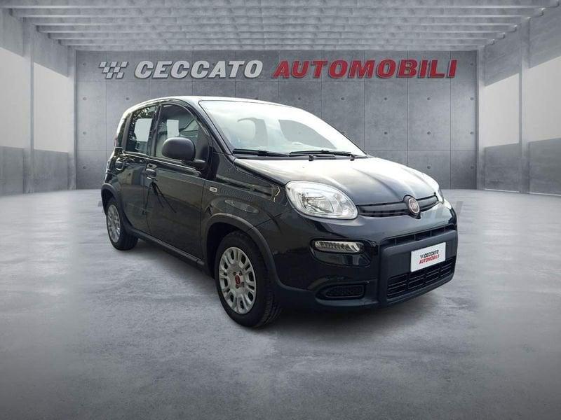 FIAT Panda Panda 1.0 firefly hybrid s&s 70cv