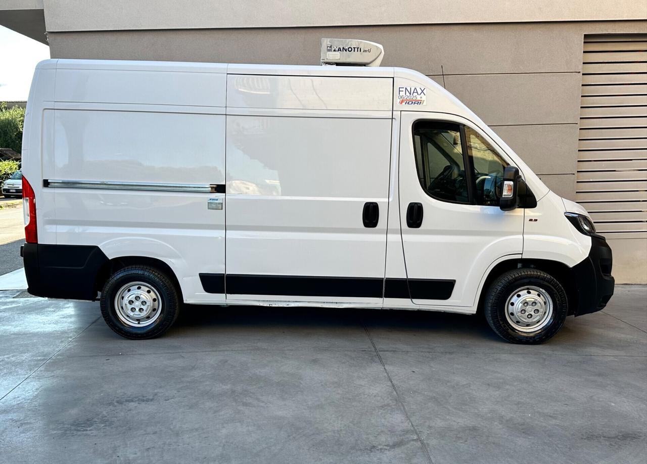Fiat Ducato Furgone Frigo Congelatore fino a -20°